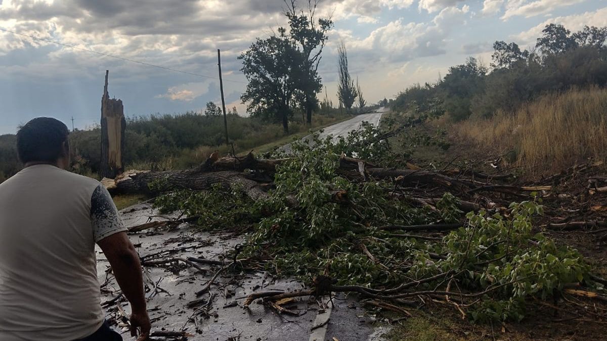 Santa Rosa arrasó y agrava la crisis productiva en Buenos Aires y otras provincias