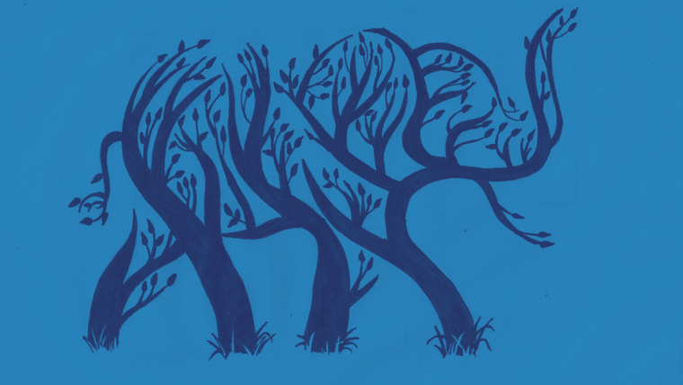 test de personalidad test de personalidad