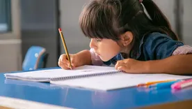 El sistema escolar ha logrado niveles casi universales de permanencia y contención, pero fracasa de forma persistente en la enseñanza de saberes elementales.&nbsp;
