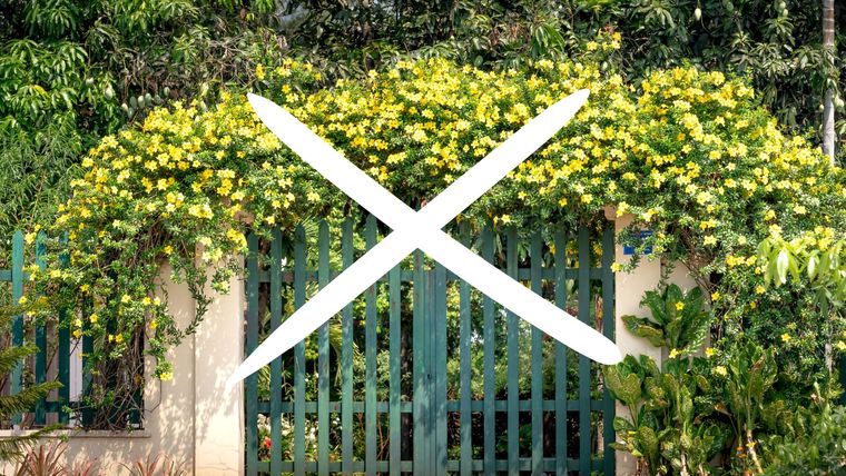 La tendencia que dice presente en el hogar. Créditos: Canva.&nbsp;