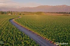 Foto: Gobierno de Mendoza