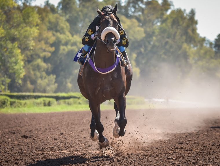 The Country animará el clásico largo de la jornada Foto: Fernando Gabrielli