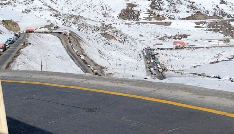 Así están los caracoles chilenos. Foto: Osvaldo Valle