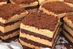 Índice chocotorta: el doloroso impacto de la inflación sobre un clásico argentino Foto: Archivo MDZ