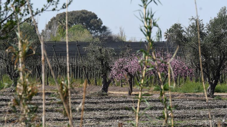 En el Pescara conviven aguas contaminadas con zonas productivas. En el Pescara conviven aguas contaminadas con zonas productivas.