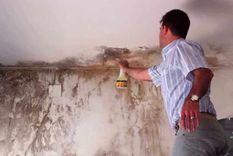 ¡Salva las paredes de tu casa! Trucos para eliminar las machas del moho en las paredes. ¡Salva las paredes de tu casa! Trucos para eliminar las machas del moho en las paredes.