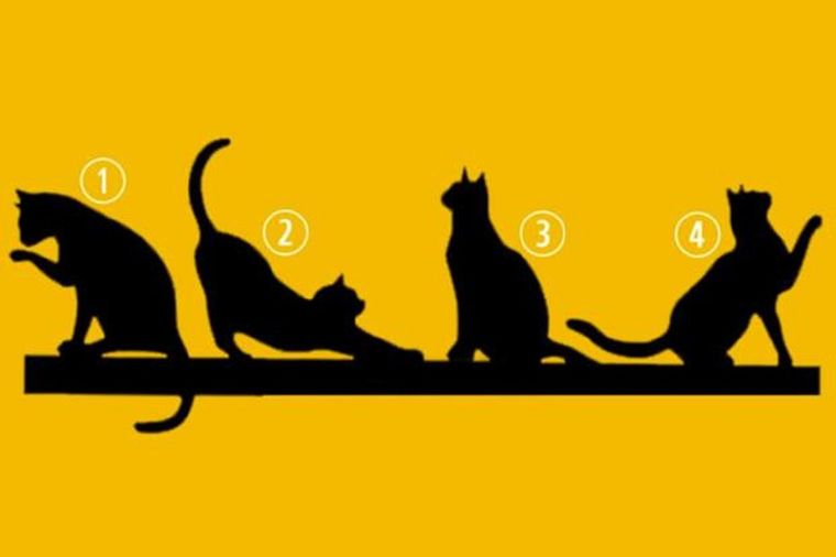 Anímate a participar. Foto: iProfesional