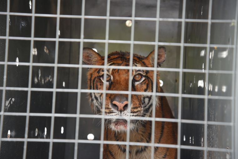 Foto: Prensa Gobierno de Mendoza