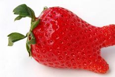 ¿Estarías dispuesto a comprar un alimento feo para ayudar al planeta?