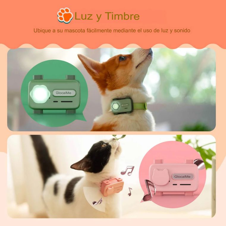 El dispositivo PetPhone de GlocalMe se coloca en el collar para una conexión constante. El dispositivo PetPhone de GlocalMe se coloca en el collar para una conexión constante.