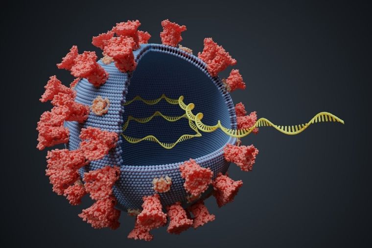 ARN Foto: Muy Interesante