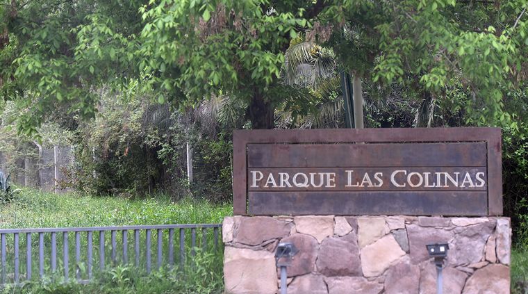 Foto: Pachy Reynoso/MDZ