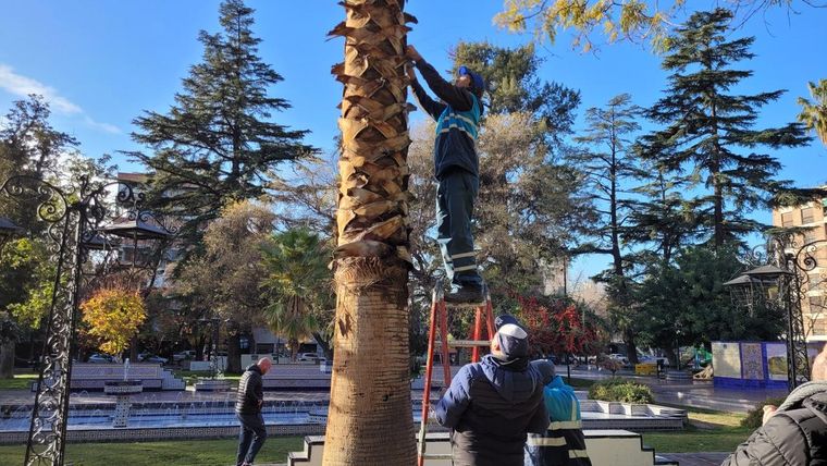 La instalación de dataloggers que permitirán observar la influencia de la vegetación en las condiciones climáticas. La instalación de dataloggers que permitirán observar la influencia de la vegetación en las condiciones climáticas.