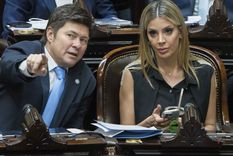 Virginia Gallardo presentó su primer proyecto en la Cámara de Diputados.&nbsp;