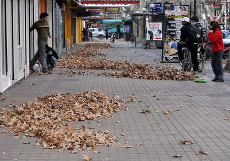 Las fuertes ráfagas afectaron la ciudad. Foto: Nacho Gaffuri / MDZ