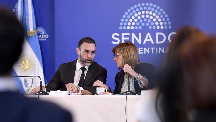 El Senado tratará en comisiones un acuerdo con fondos buitre. El Senado tratará en comisiones un acuerdo con fondos buitre.