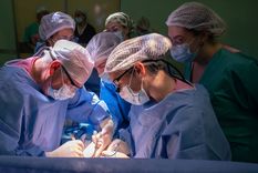 Un niño de dos años recibió el trasplante de un hígado proveniente de un donante fallecido en asistolia, que es la pérdida total de la actividad cardíaca. Foto: Hospital Garrahan