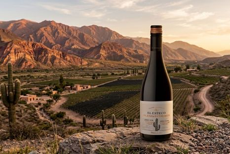 Un Pinot Noir desde el Norte Argentino. Un Pinot Noir desde el Norte Argentino.