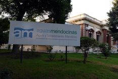 El titular de la Aysam busca capacitarse en un área ya conocida en Mendoza Foto: Archivo MDZ