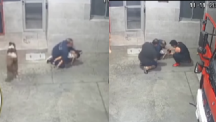 Los bomberos del Destacamento Nº 2 San José actuaron de inmediato para que el niño volviera a respirar Foto: Instagram @bomberoslomasdezamora