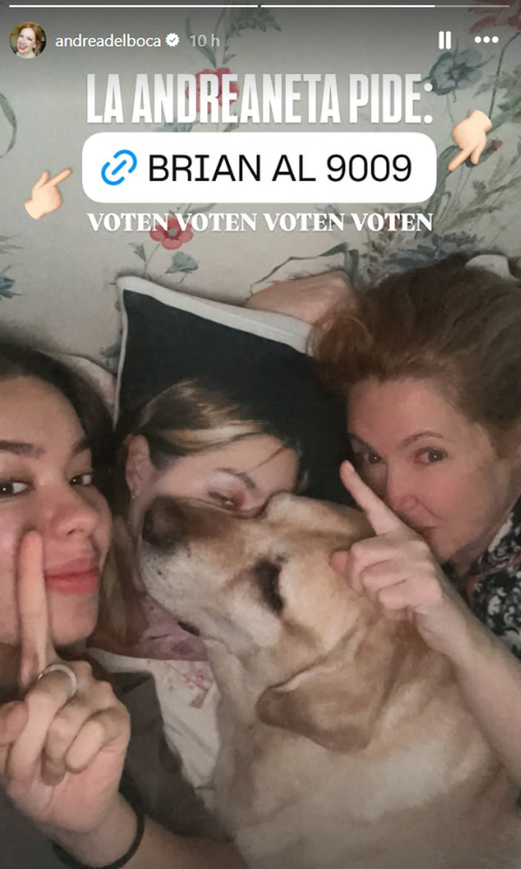 Andrea del Boca pide a sus seguidores que voten para que Brian se vaya de la casa. Andrea del Boca pide a sus seguidores que voten para que Brian se vaya de la casa.