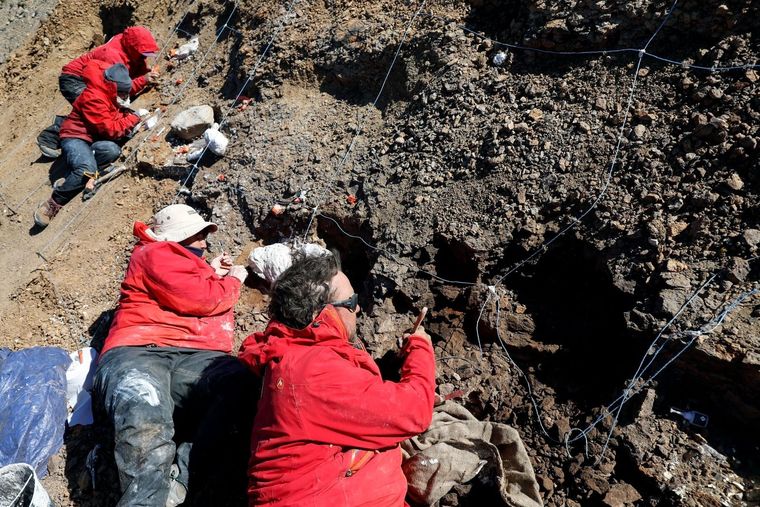 El profesor Alexander Vargas destaca que lo inesperado de esta nueva especie es que corresponde a una versión más primitiva que los otros hadrosaurios descritos hasta ahora en Sudamérica, la primera de este tipo descubierta en el Hemisferio Sur.