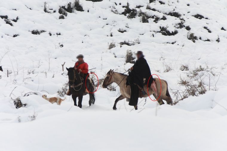 Los sujetos que llevaban restos de un guanaco Foto: Prensa Gobierno Mendoza