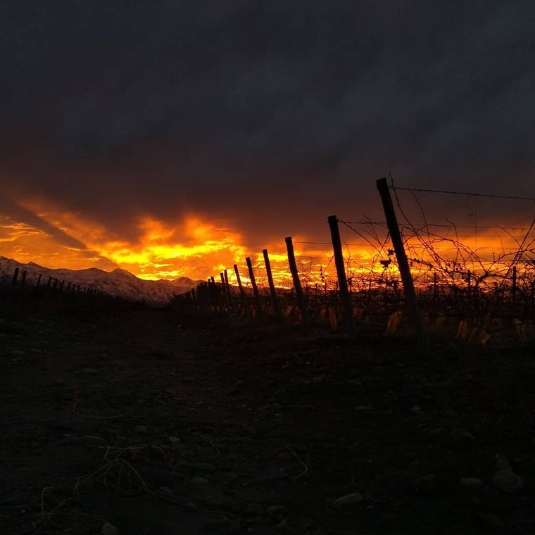 Atardecer en Mendoza. Foto de Instagram de @cacahuetito_x.x Atardecer en Mendoza. Foto de Instagram de @cacahuetito_x.x