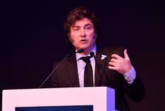 Fuerte advertencia de un exministro de Economía a Javier Milei sobre el cepo Foto: IAEF