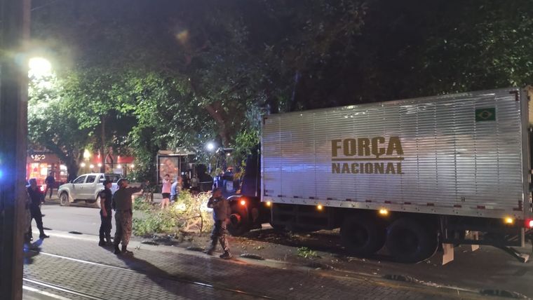 El conductor calculó mal y derribó unas ramas.