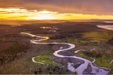 Esta perla en el Sur de Argentina cautiva con sus paisajes y su biodiversidad Foto: yovotopeninsulamitre.com