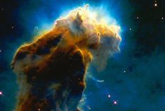 Foto: www.circpau.org