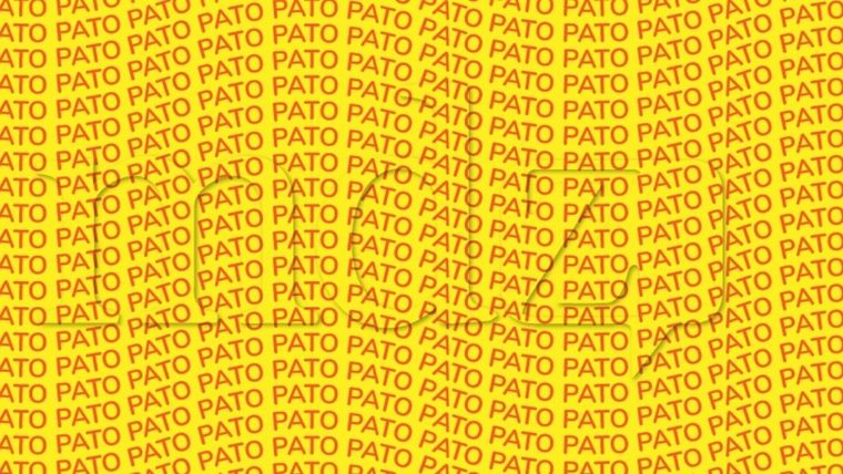 Acertijo visual Acertijo visual, reto visual, palabra Foto: MDZ Online