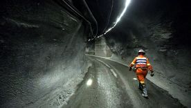 Chile proyecta la necesidad de atraer casi 37.000 nuevos profesionales y técnicos en la próxima década. Chile proyecta la necesidad de atraer casi 37.000 nuevos profesionales y técnicos en la próxima década.