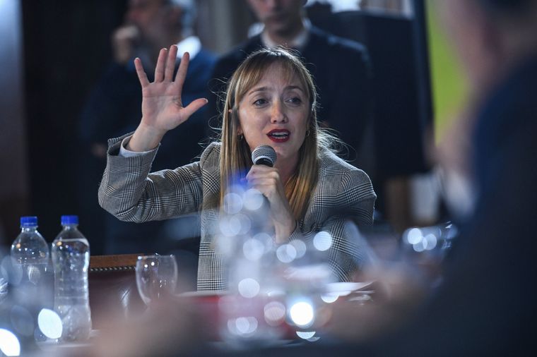 Anabel Fernández Sagasti en el plenario de comisiones Foto: X @SenadoArgentina