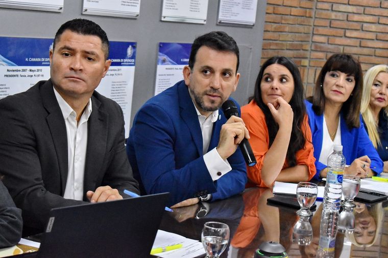 Foto: Prensa Cámara de Diputados