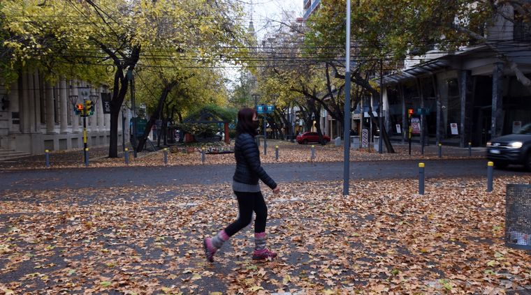 El otoño se despide esta semana.