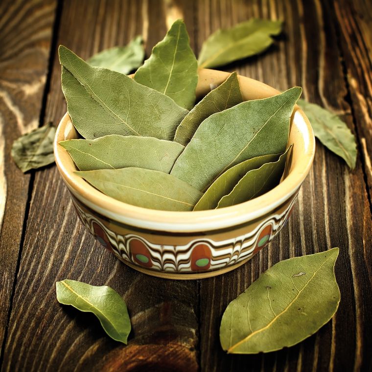 El laurel es vital para este tipo de ritual Foto: Shutterstock