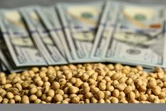 La cosecha fina de trigo y cebada hizo un buen aporte de dólares en el último mes del año. Foto: shutterstock