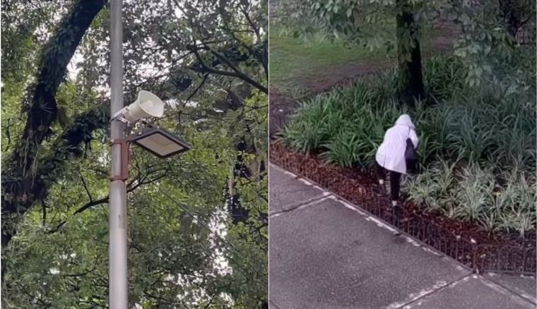 Con cámaras y altavoces buscan prevenir el vandalismo en las plazas de San Miguel de Tucumán. Foto: Captura de video