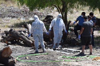 MDZol | Foto: Pachy Reynoso / MDZ