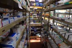 Foto: ALF PONCE MERCADO / MDZ