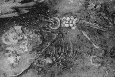 cuando comenzo a usarse la momificacion en egipto