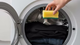 Colocar una esponja en el lavarropas ayuda a reducir pelusas y pelos en la ropa. Colocar una esponja en el lavarropas ayuda a reducir pelusas y pelos en la ropa.