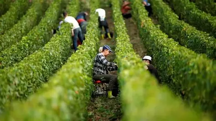 Todavía existe una brecha entre lo que podríamos hacer y lo que efectivamente logramos. Todavía existe una brecha entre lo que podríamos hacer y lo que efectivamente logramos.