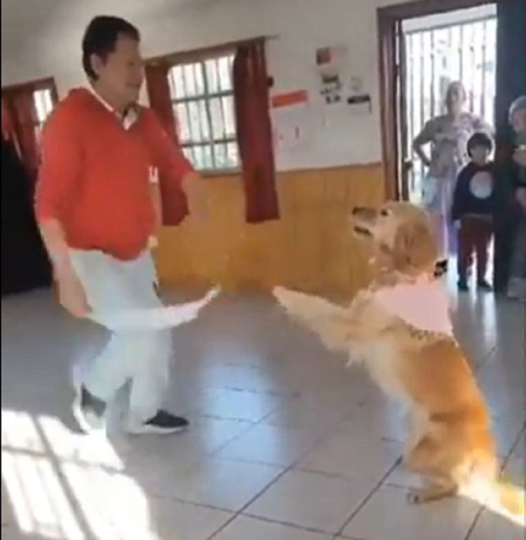 Viral A falta de pareja, parece que la mascota fue un buen compañero de baile Foto: Captura de video