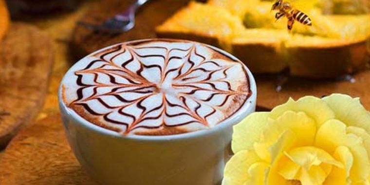 Mocaccino Foto: Todolatte