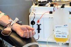cientificos argentinos buscan ser pioneros en el tratamiento del covid-19 con plasma