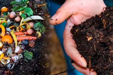 MDZol | El otoño, al igual que la primavera, también puede ser un momento ideal para hacer compost, ya que la abundante materia orgánica procedente de las hojas caídas y de los restos de las plantas de fin de temporada proporcionan un suministro inmediato de resi