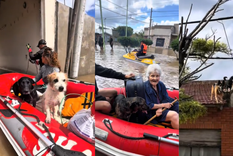 Los propios vecinos y fundaciones llevan a cabo el rescate de animales en Bahía Blanca Foto: TikTok @ferpieroni